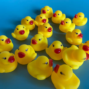 What Defines a Rubber Duck?. I hope you liked the picture of the…, by  Isabella Grandic
