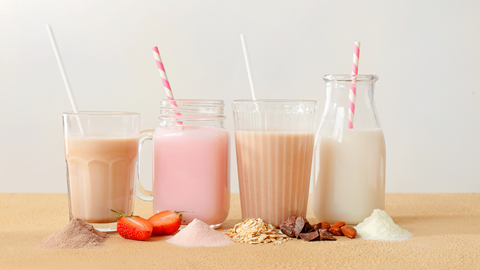 meal replacement shake flavors