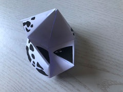 fortune teller folded