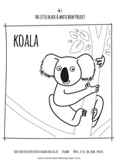 koala colouring sheet