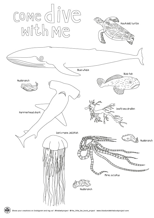 ocean animals colouring sheet