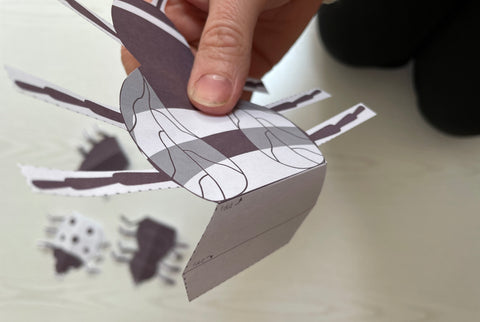 close up of paper folding bug