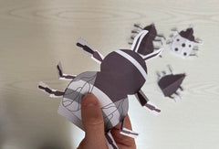 close up of paper bug