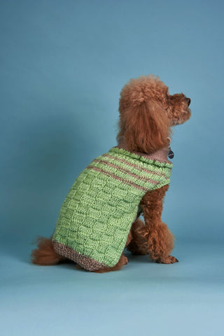 Shroom & Pistachio Checker Crochet Dog Sweater