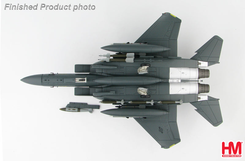 McDonnell Douglas F-15E Strike Eagle 391st Fighter Squadron Operation Enduring Freedom 1:72 Scale Diecast Model Bottom View