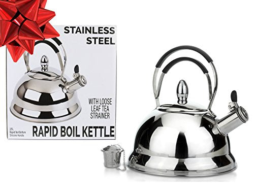 rapid boil tea kettle