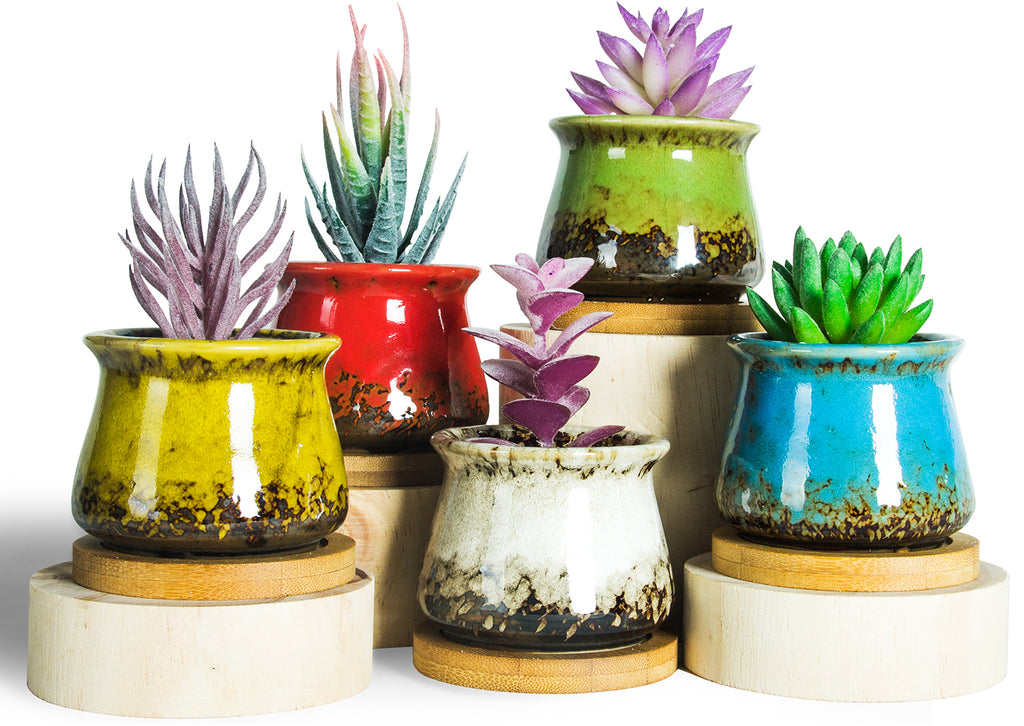 Succulent Pots, 4 Pack Ceramic Planters for Indoor Plants, 3.5 Inch Bo –  Ecoloversstore