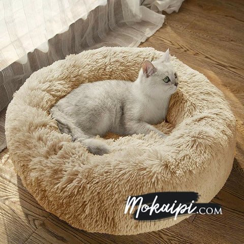 Lit Apaisant Comfy Pour Chien Ou Chat Le Pilou Pillow Mokaipi Com