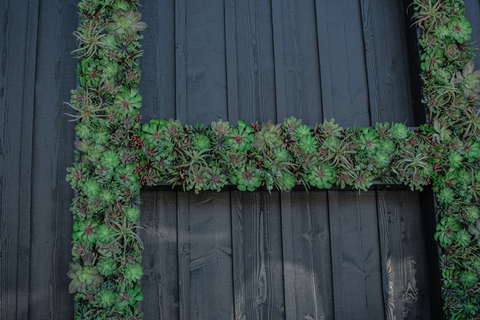 Up Close looks at Custom Built Vertical Wall Succulent Planter made in an 'H' for the Hill Family Winery by Lee Display