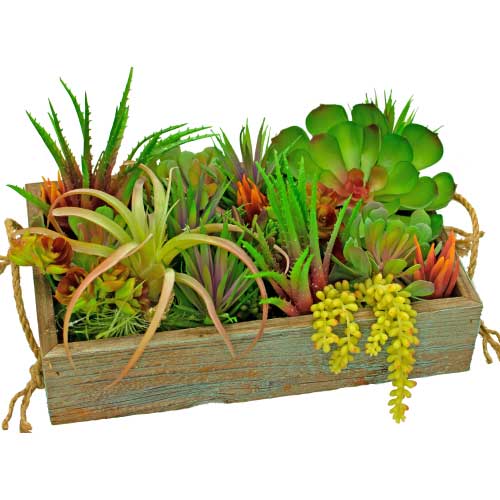 Artificial succulent Planter Box made of sustainable redwood from lee display link