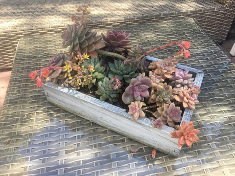 Make your own rustic grey weathered planter box from Lee Display