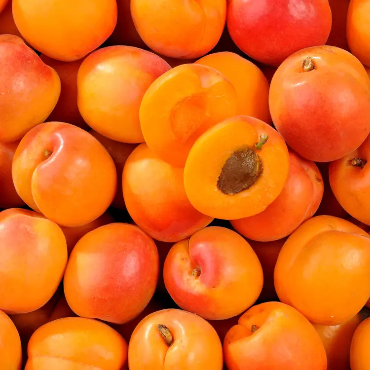 Apricot radiance jojoba serum elodiesnaturals.png__PID:2234b532-45e9-46fd-b334-914e9db80fb8