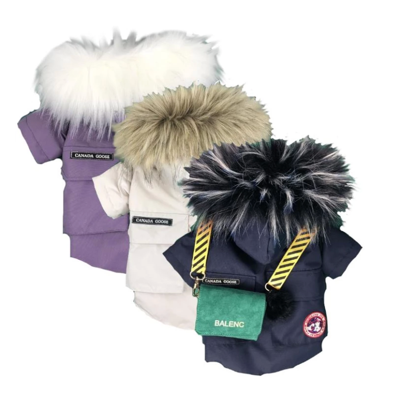 canada goose dog coat