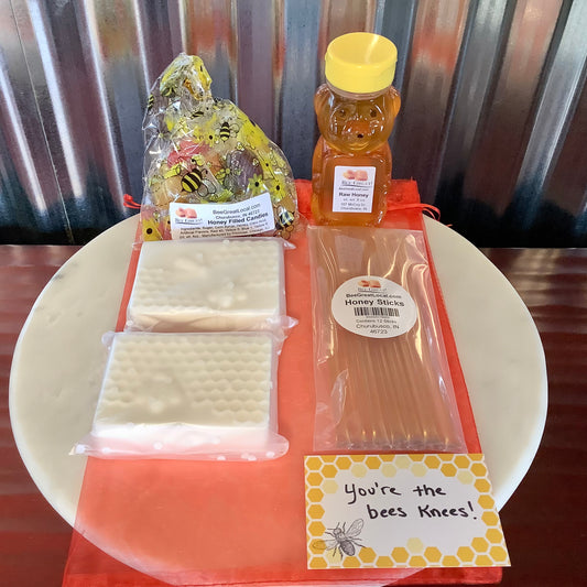 Bee Gifts for Women Honey Bee Holiday Gifts Box Spa Gifts for Her Set With  Goat Milk Soap You Are Sweet as Can Bee Gift Basket 