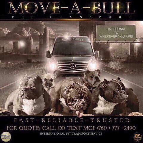 Move A Bull