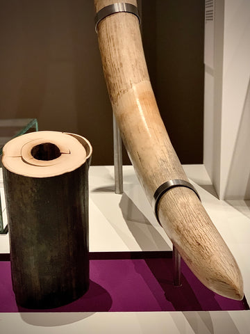 Elephant tusk