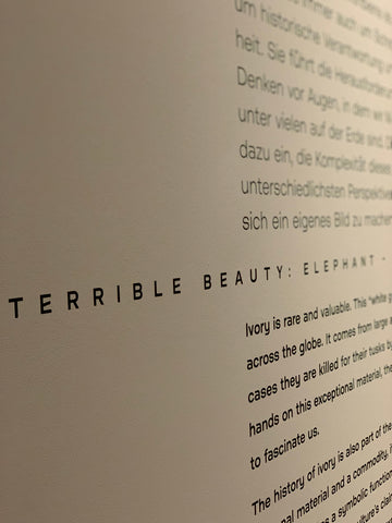 Introduction to terrible beauty exhibition