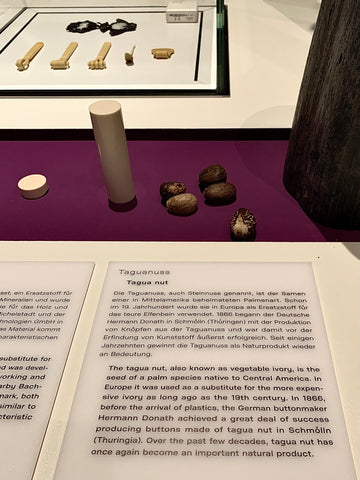 Tagua Nut beads exhibited at the Humboldt Forum Berlin