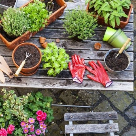 8 Urban Gardening Techniques You Need To Have A Beautiful City