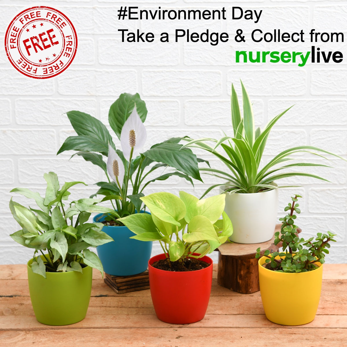 Take a pledge & Collect 7 Potted Plants free â€” Nurserylive