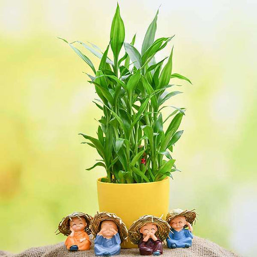 Buy Celebrate Happiness with 3 Layer Lucky Bamboo and Cute Monks online  from Nurserylive at lowest price.