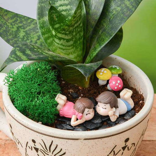 indoor miniature garden plants