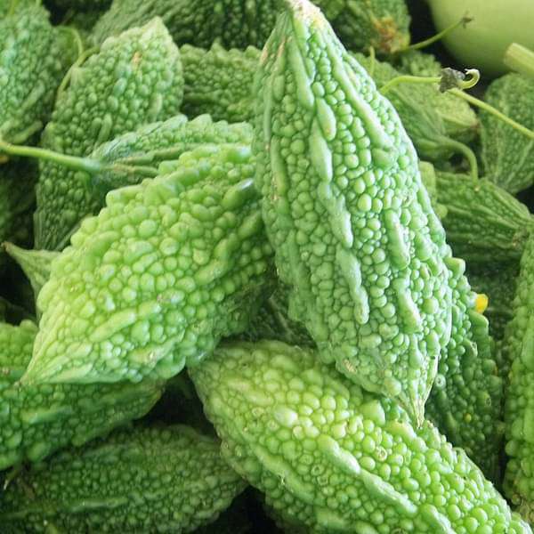 Buy Bitter Gourd Faizabadi - Desi Vegetable Seeds online from Nurserylive  at lowest price.