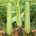 Bottle Gourd Extra Long - Organic Vegetable Seeds - Nurserylive