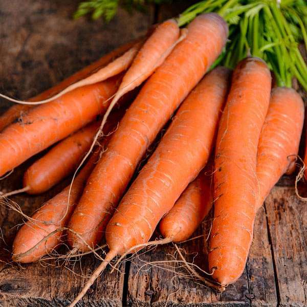 Carrot Kuroda - Vegetable Seeds - Nurserylive