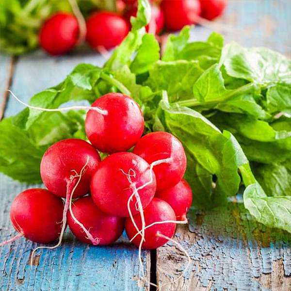 Radish Scarlet Globe - Organic Vegetable Seeds - Nurserylive