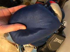 how much do 16 oz sparring gloves cost
