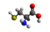 Ingredients 22-02.png__PID:8a9959e1-bf9d-4496-92c0-8fc6501e5424