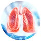 Lung-01.png__PID:dcb17b7b-c9ae-4ffb-a038-165833bb187a