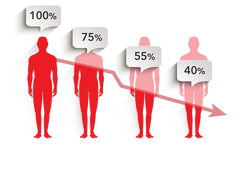 Testosterone Levels Human-02.png__PID:154b8a71-099e-4848-b218-659cafbc6231