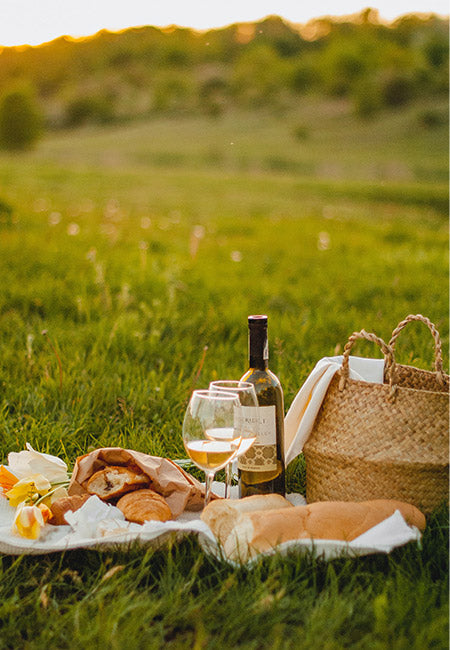 outdoor wine and cheese picnic
