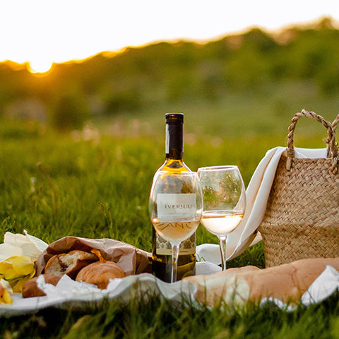 Picnic layed out with wine glasses on grass