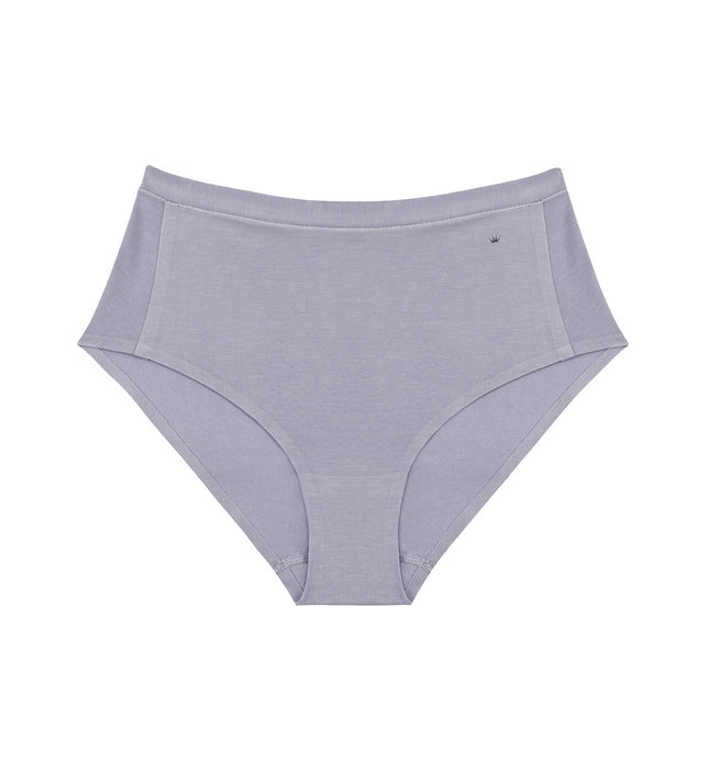 Ambra Microfibre Seamless Singles Cheeky Hipster AMSSMFCH Grey Marle Womens  Underwear