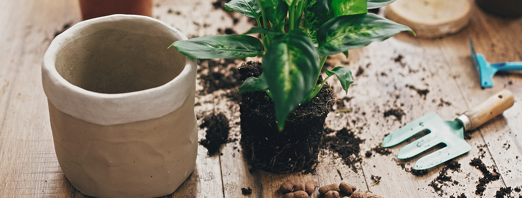 What Is Another Word For Soil Science