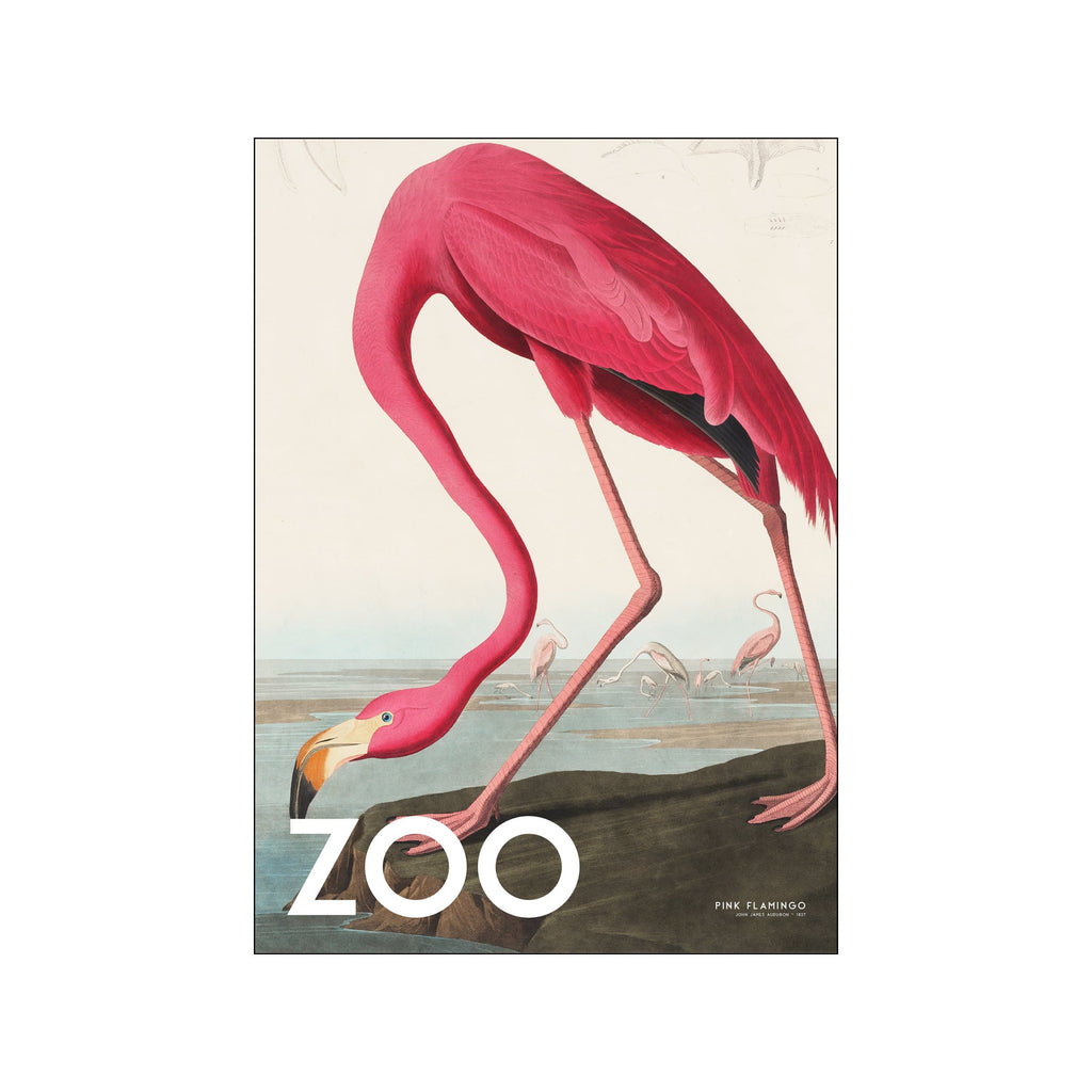 The Zoo Collection — Pink Flamingo Edt. 002 – B2C &