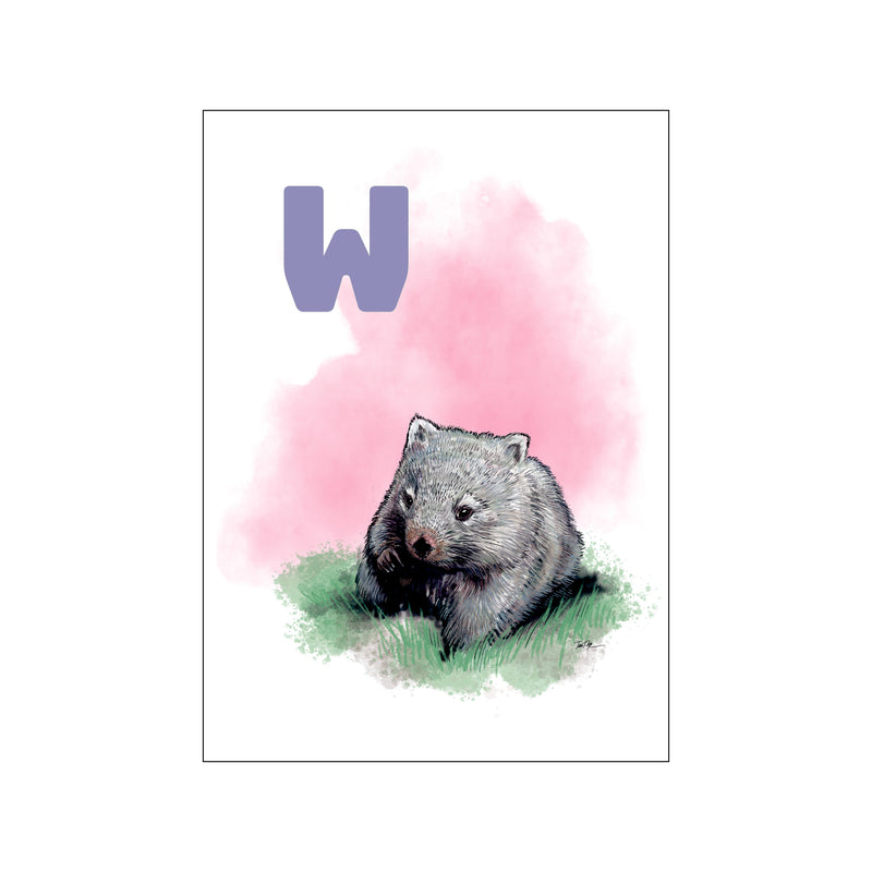 Cute Wombat Drawing - Wombat - Sticker | TeePublic