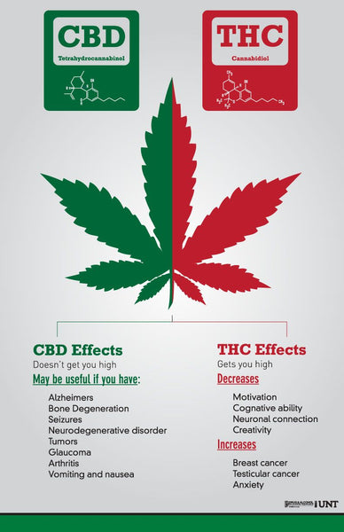 THC vs. CBD