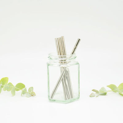STAINLESS STEEL SINGLE REUSABLE STRAW