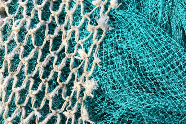 Blue and White Fishing Nets