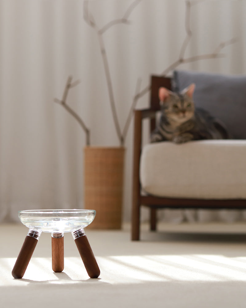 Oreo Glass Table. Walnut . Tall