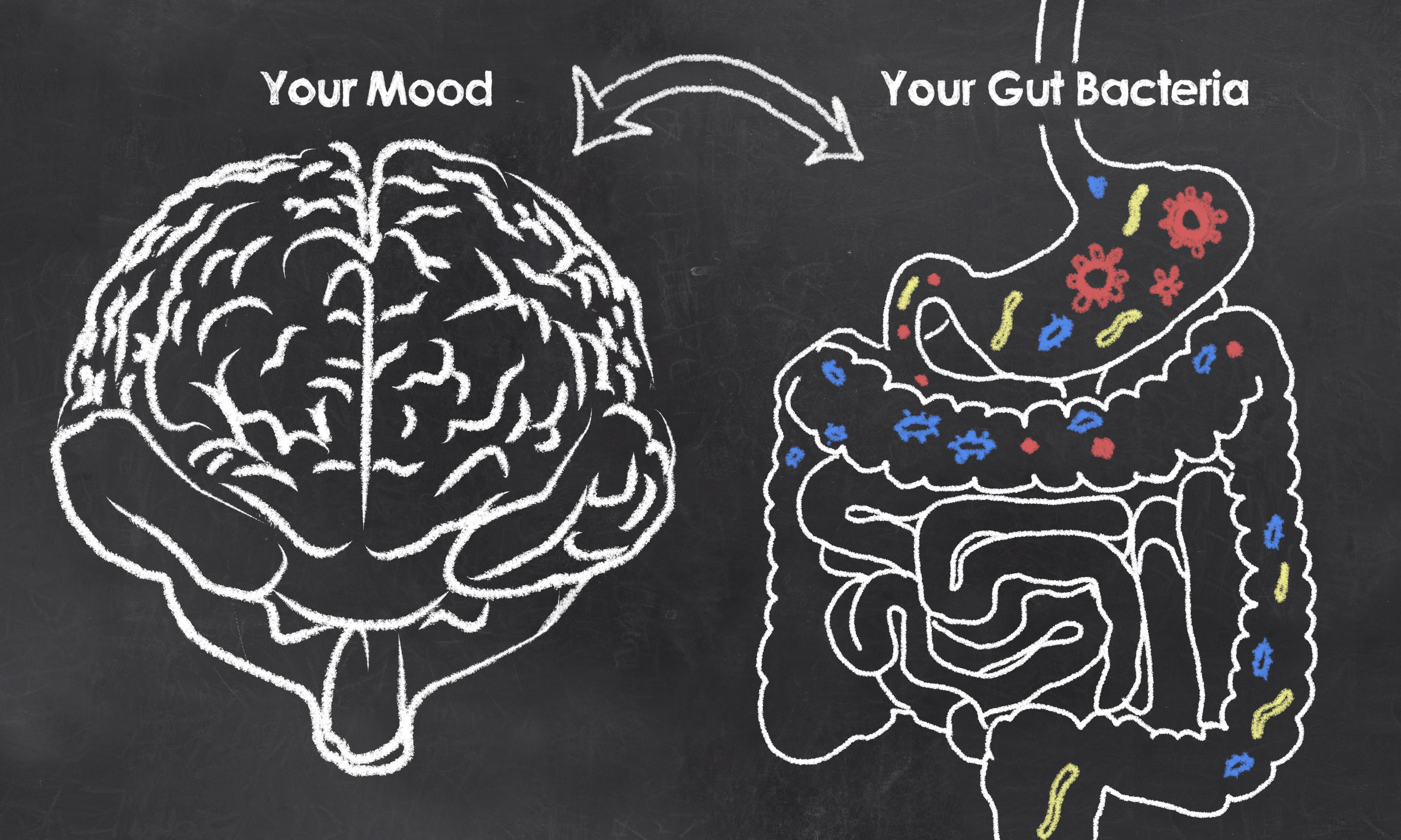 Gut and Brain correlation