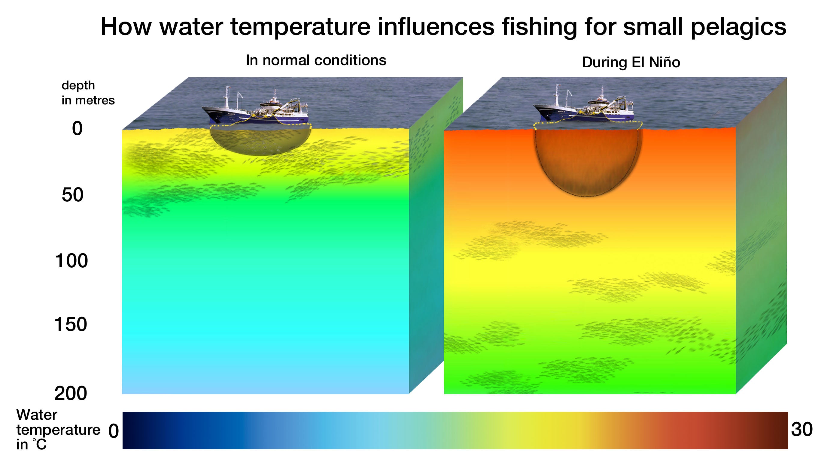 El Niño on Fishing Practices