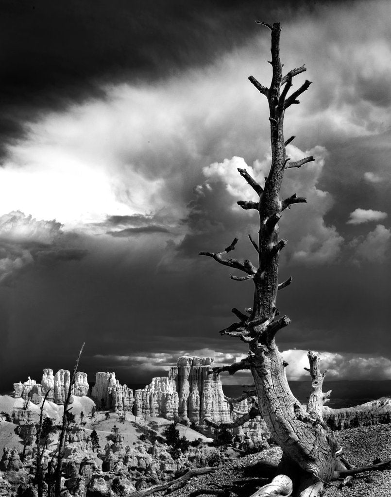 Bryce Canyon I - MyTheme With Grey Music BG