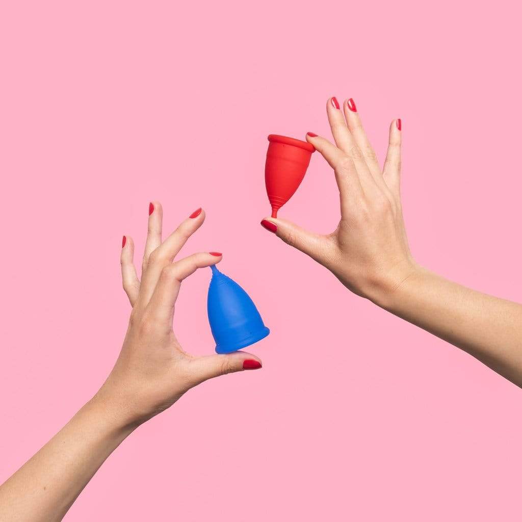 Reusable menstrual cup Regular - cups, tampons pads more | Moxie