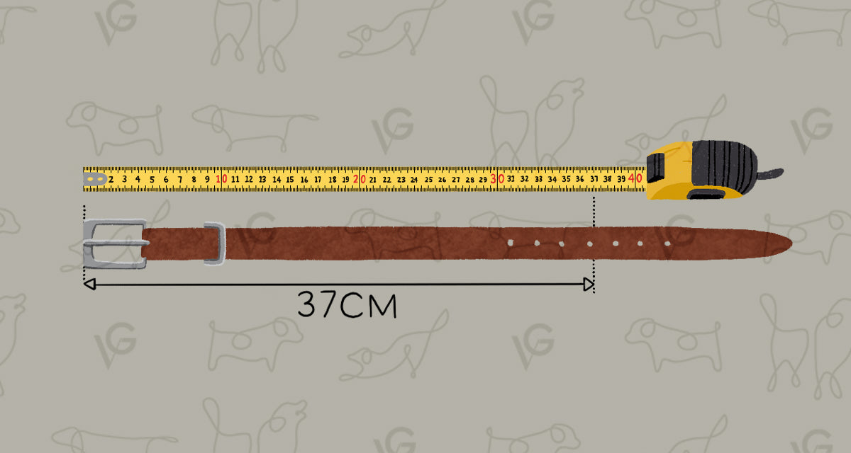 Valgray for Dogs premium dog accessories Blog Post Dog collar size Image For How to Measure Your Dog's Neck Using Everyday Household Items Blog post. Image shows how to measure a dog Belt-Buckle Collar.