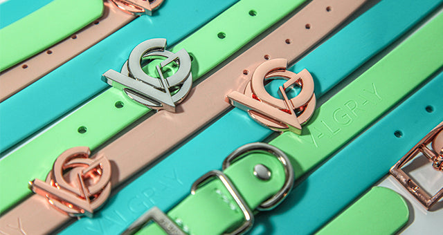 Valgray premium dog accessory. Valgray, This Is Us! image PV-coated Nylon collars in pistachio, turquoise and blush pink with Valgray luxury gold and rose gold plated hardware in South African. Image shows a range of coloured dog collars on a white background.